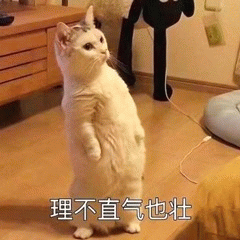 示例图片